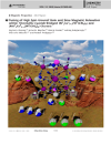 Covert art for the paper  "Tuning of high spin ground state and slow magnetic relaxation within trimetallic cyanide-bridged {NiIIxCoII9-x[WV(CN)8]6} and {MnIIxCoII9-x[WV(CN)8]6} clusters", Chem. Eur J., 2018, 24, 15533-15542.
